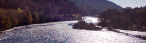 The River Tay in Perthshire, Scotland